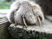 Фотография Пачколиной Любови