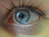 Фотография Бондаренко Кати