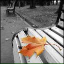 Віктор Лівша фотография #36 (источник - https://vk.com/id11981031)