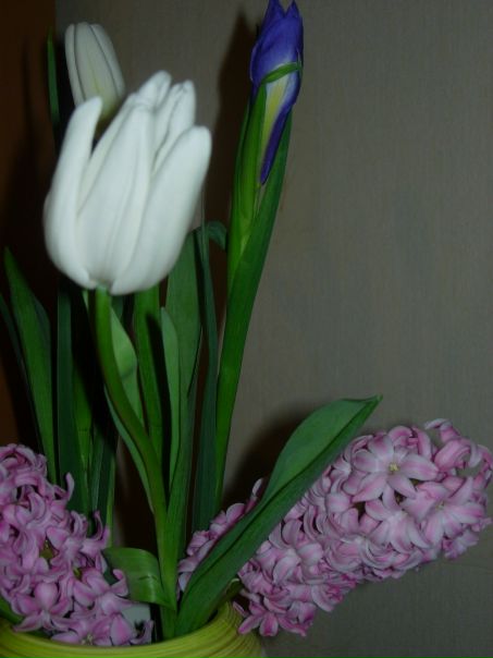 №4, Ольга Миронова, Санкт-Петербург №4, Ольга Миронова, Санкт-Петербург