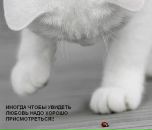 Фотография Дуниной Ирины