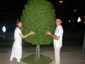Вікуся Горбань фотография #28 (источник - https://vk.com/id51741520)