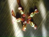 Оля Равшанова фотография #44 (источник - https://vk.com/id1280336)