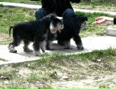 Фотография Михалёва Максима