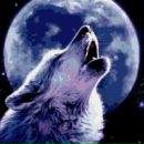 Фотография Кузнецовой Натальи