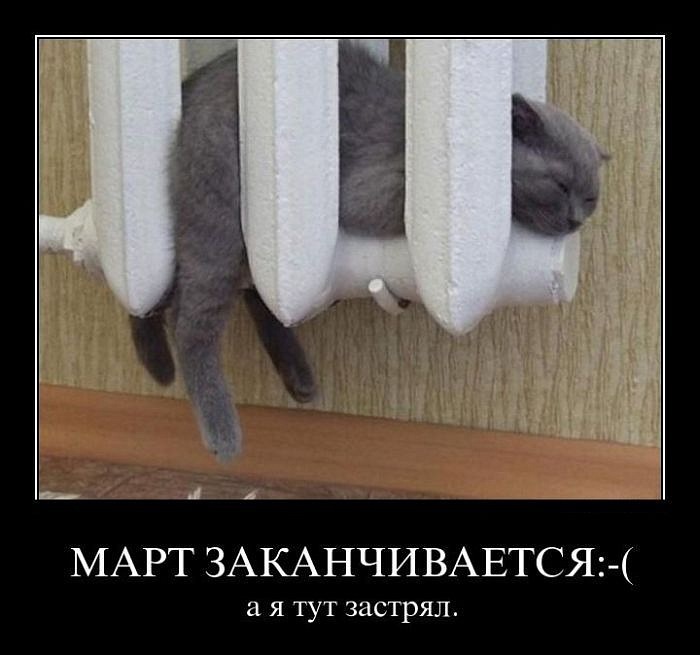 Игорь Борзенков фотография #21