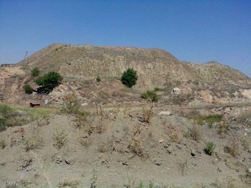 Игорь Береговой фотография #50