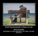 Андрій Вовчук фотография #4 (источник - https://vk.com/id46235832)