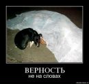 Андрій Вовчук фотография #8 (источник - https://vk.com/id46235832)