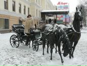 Фотография Антоненко Елены