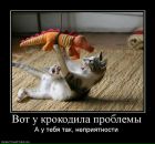 Анютка Сліпець фотография #11 (источник - https://vk.com/id15876602)