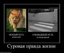 Наталя Зубаркіна фотография #22 (источник - https://vk.com/id39727833)