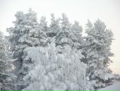 Фотография Катаного Юры