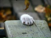 Фотография Зайцевой Ани