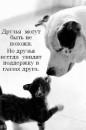 Ліля Фучко фотография #2 (источник - https://vk.com/id51533785)