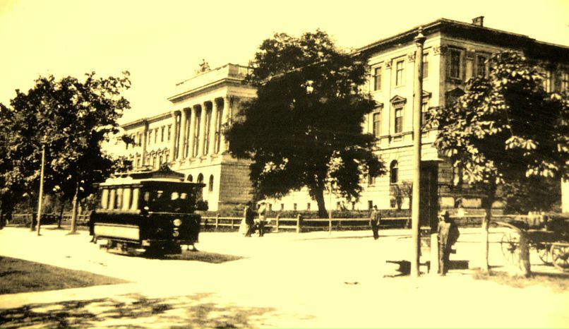 Олеся Ткачик фотография #39