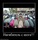 Ігор Meksilol фотография #30 (источник - https://vk.com/id67121156)
