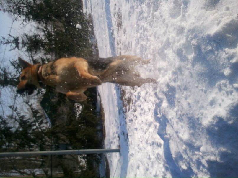 Дмитрий Федоренко фотография #18